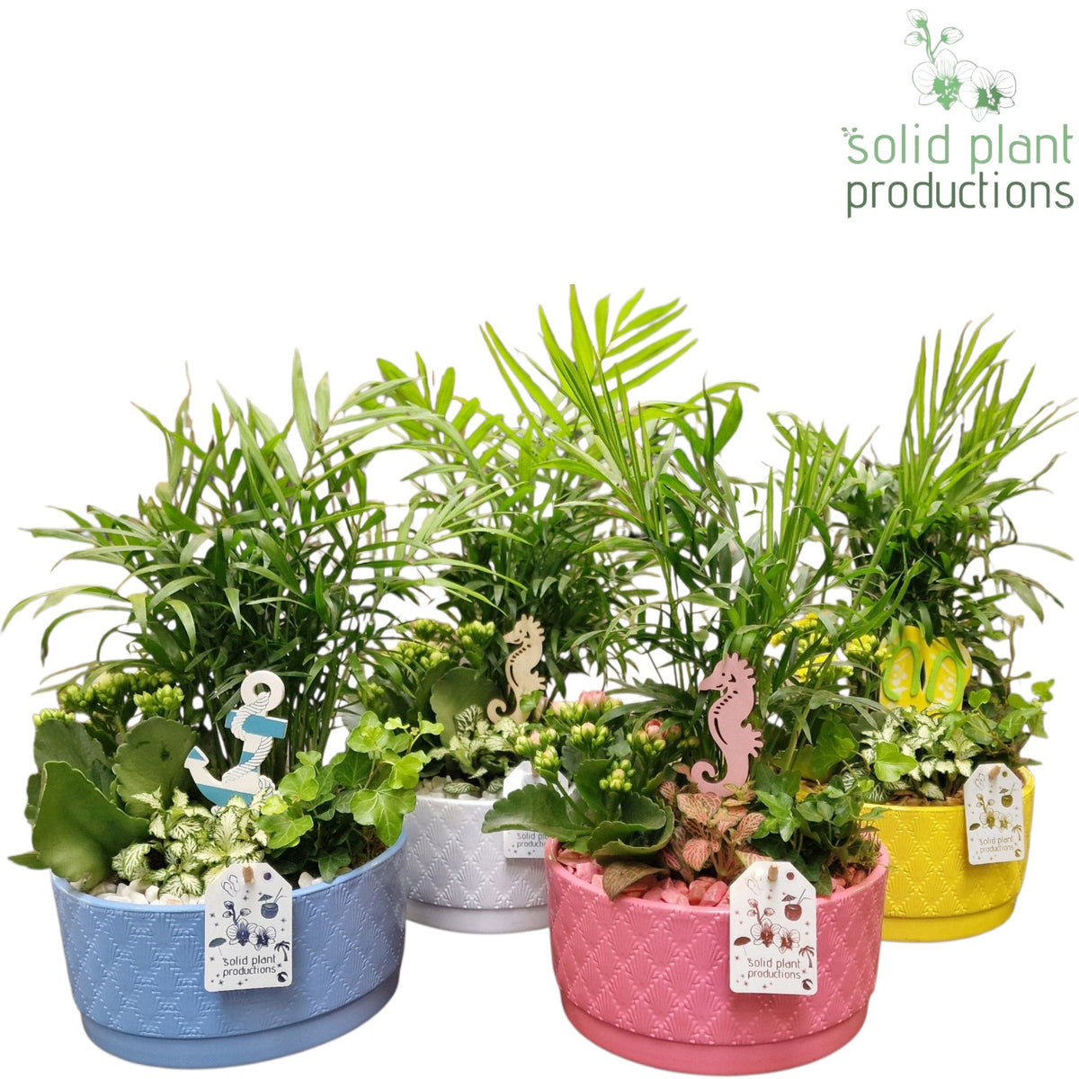 CH003 Loes Summer Mix 40cm 18cm Pot