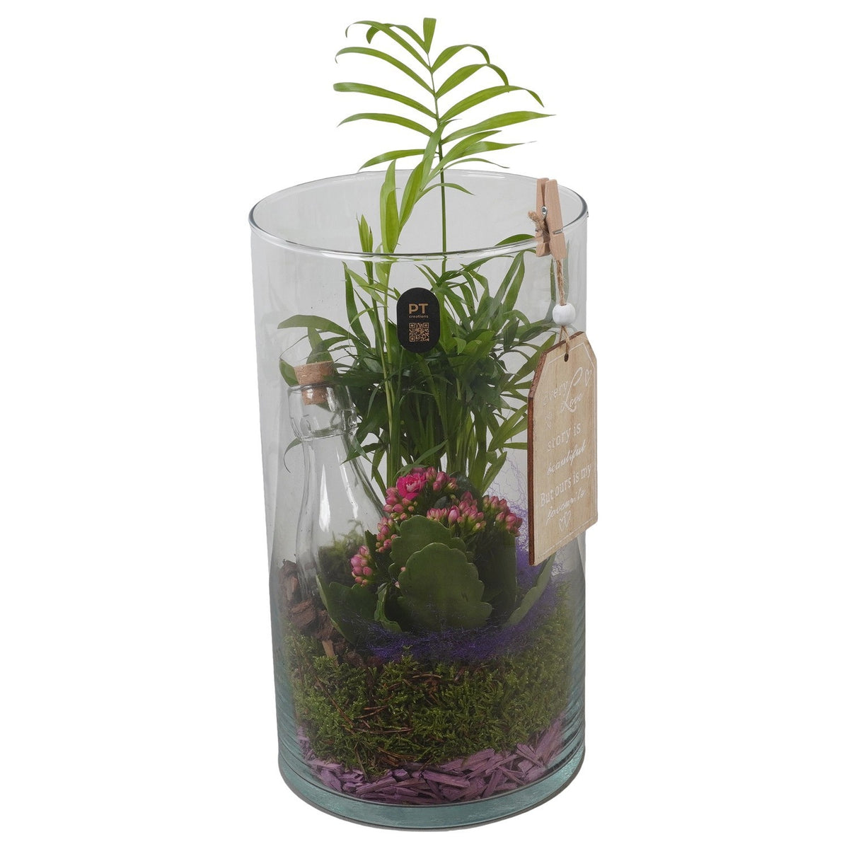 Indoor arrangement 37cm 16cm Pot
