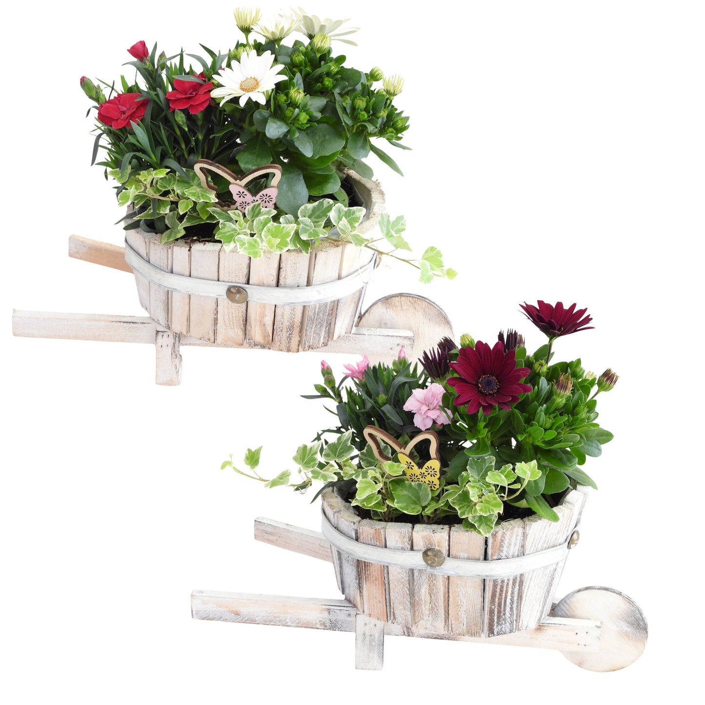 Outdoor arrangement 25cm 33cm Pot