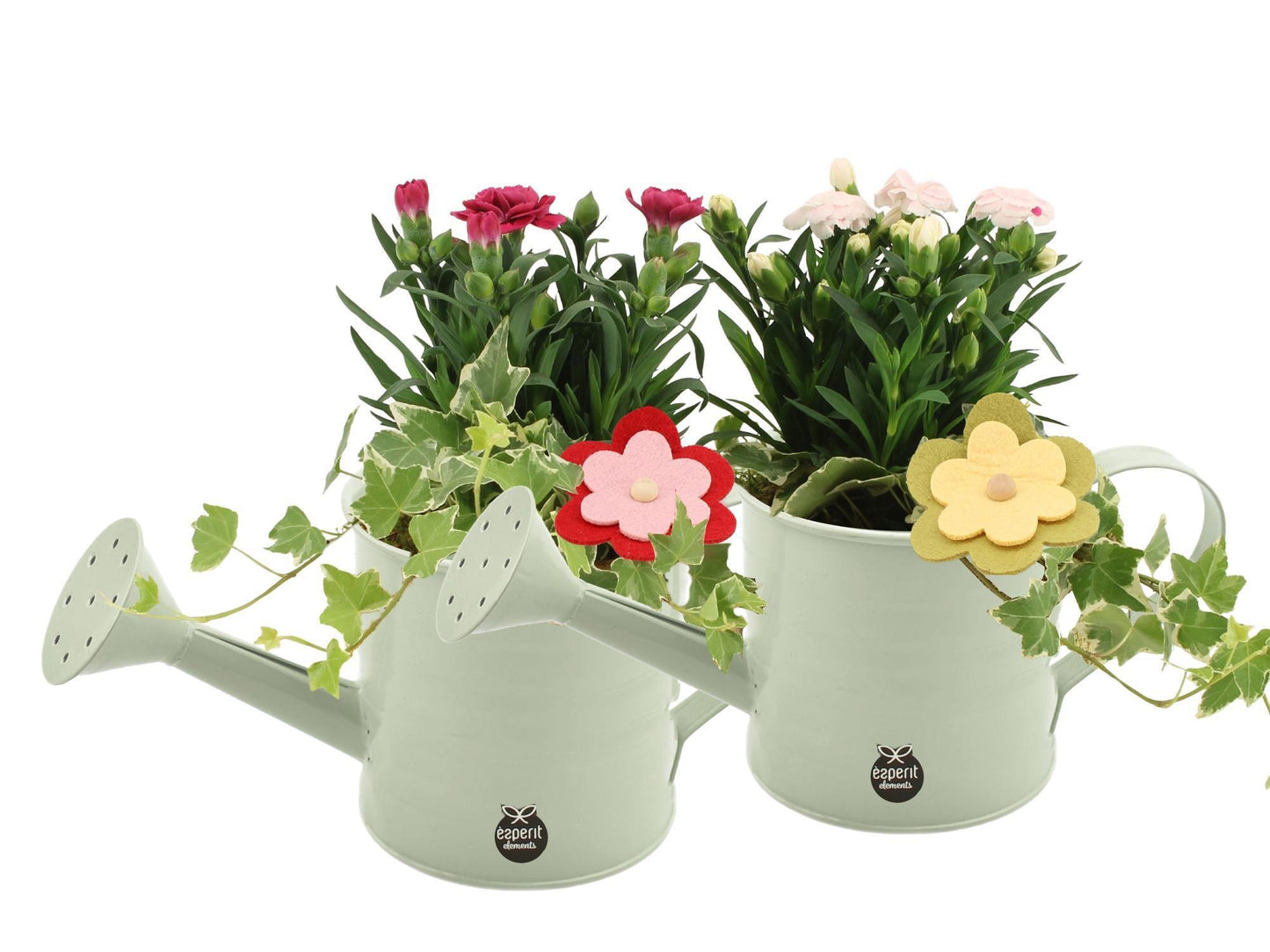 Outdoor arrangement 25cm 12cm Pot