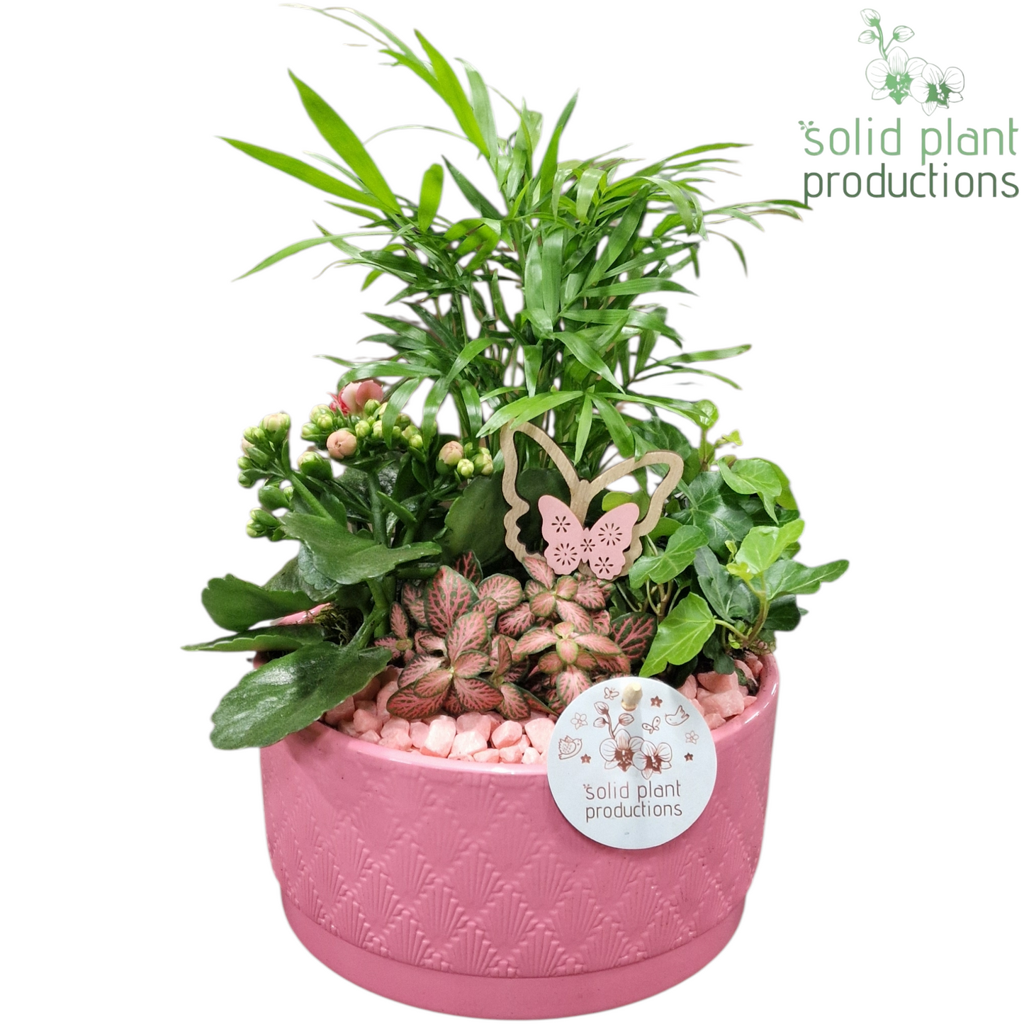 CH003 Loes Pink 35cm 18cm Pot