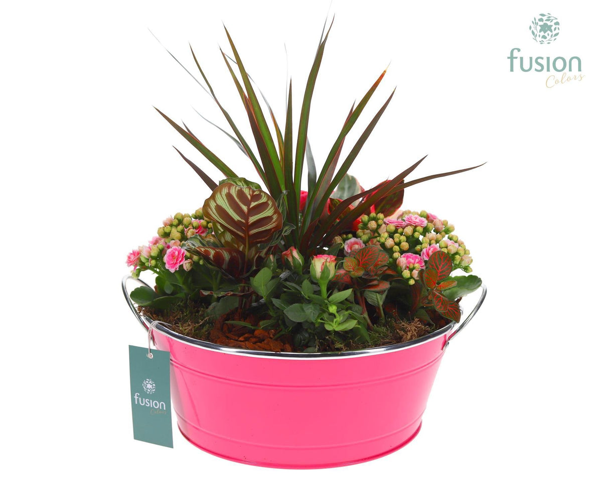 Zinken schaal rond groot met Arrangement 35cm 37cm Pot