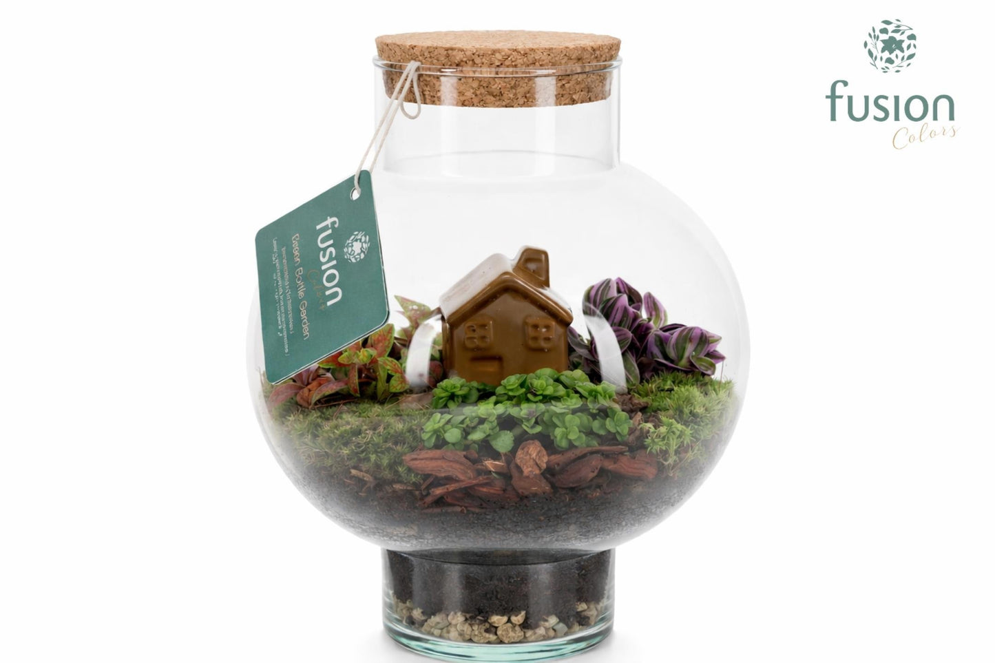 Green BottleLaura Small met Terrarium arrangement 25cm 20cm Pot