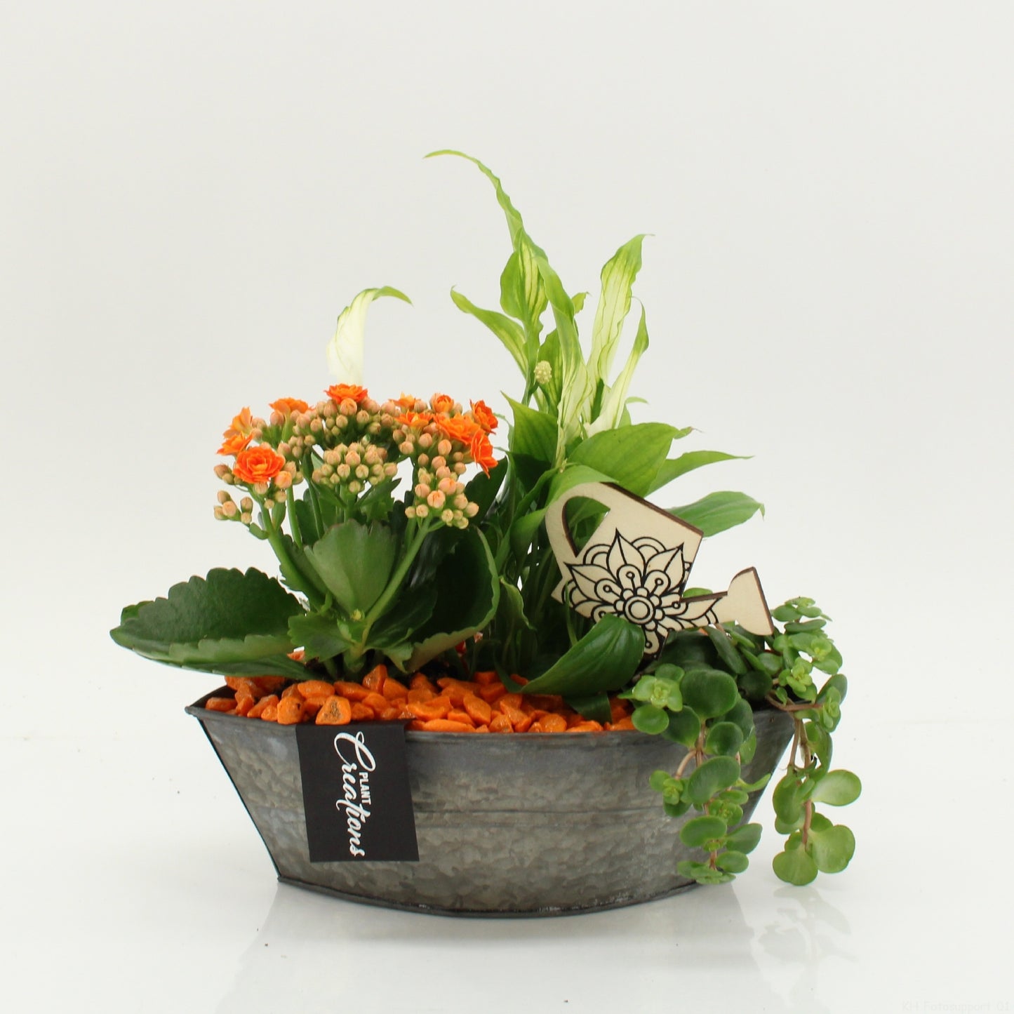 FDCR-2614OR Basic Fundamentals 30cm 22cm Pot