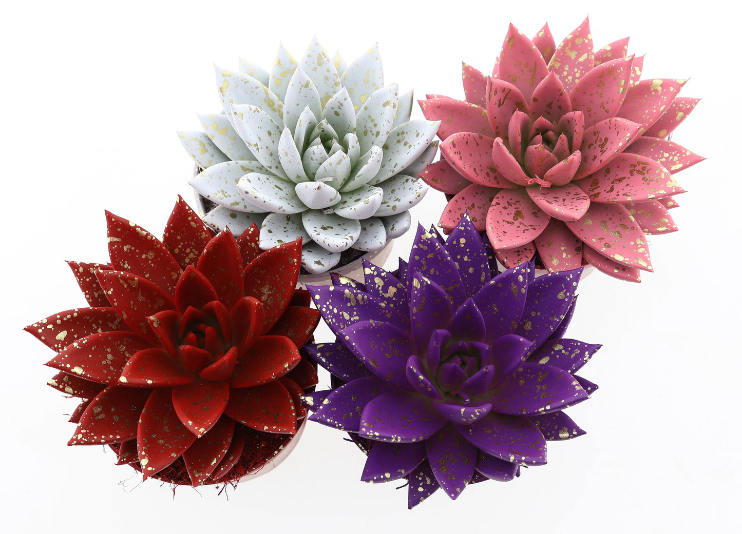 Miranda sprinkle love mix 12cm 10.5cm Pot