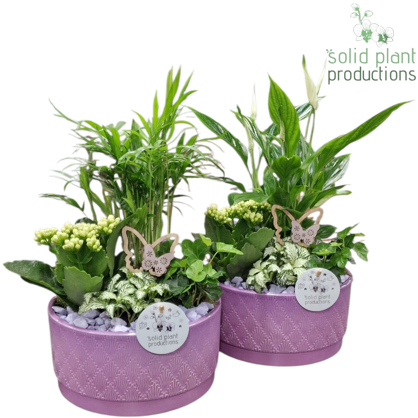 SC003 Loes Lila Mix 35cm 18cm Pot