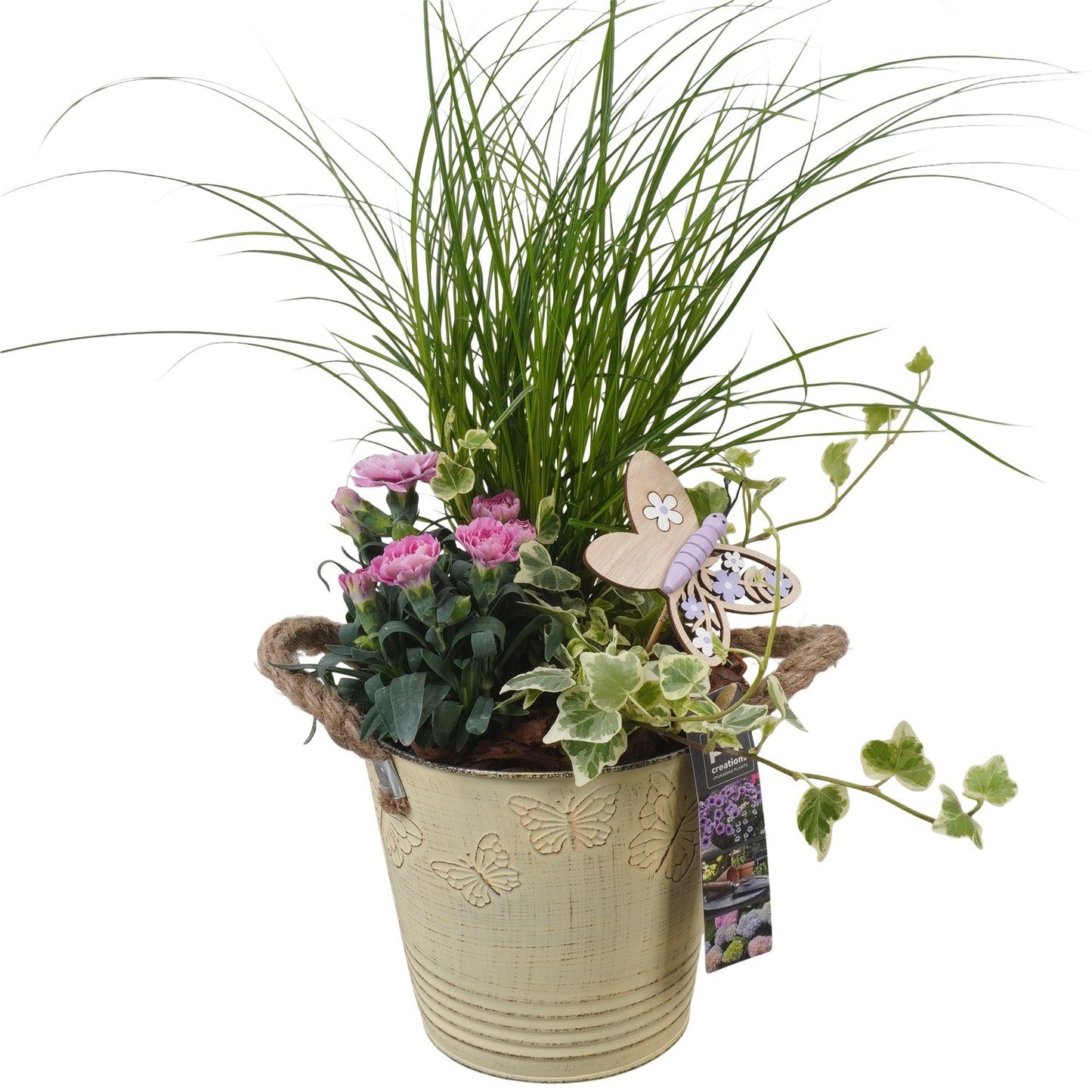 Outdoor arrangement 41cm 15cm Pot