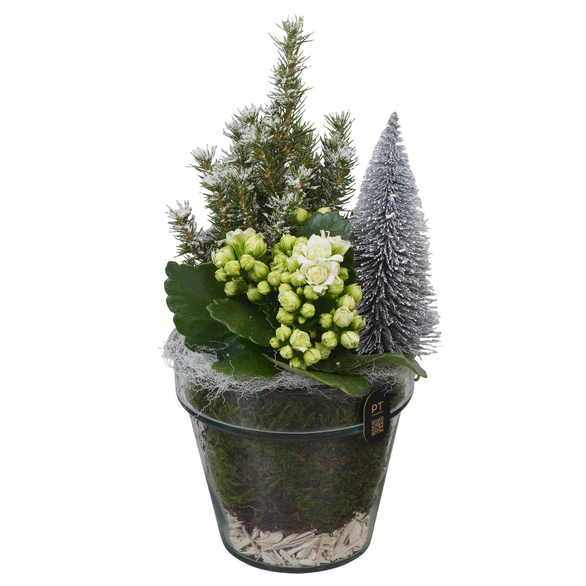 Christmas arrangement 31cm 13cm Pot