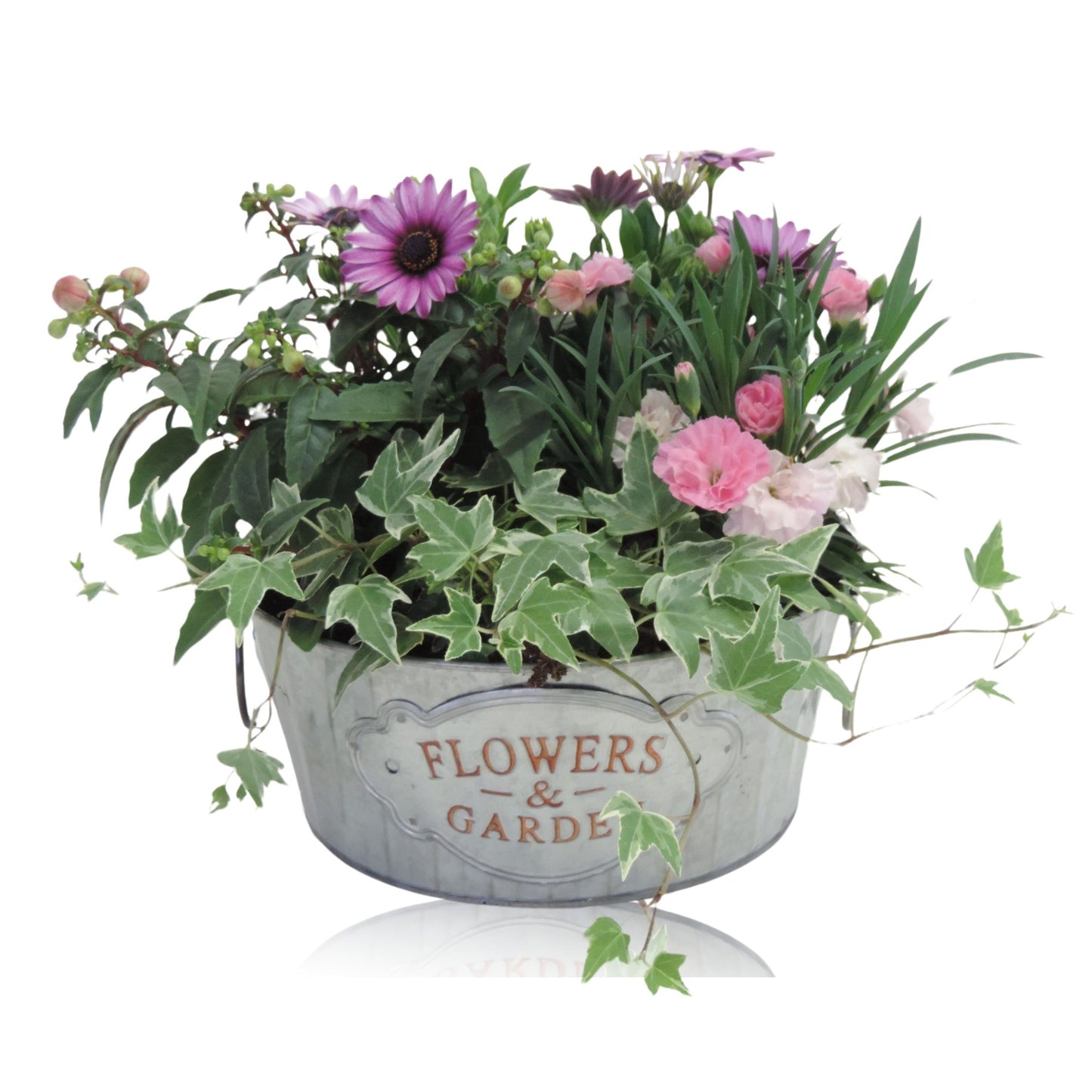 Outdoor arrangement 32cm 21cm Pot