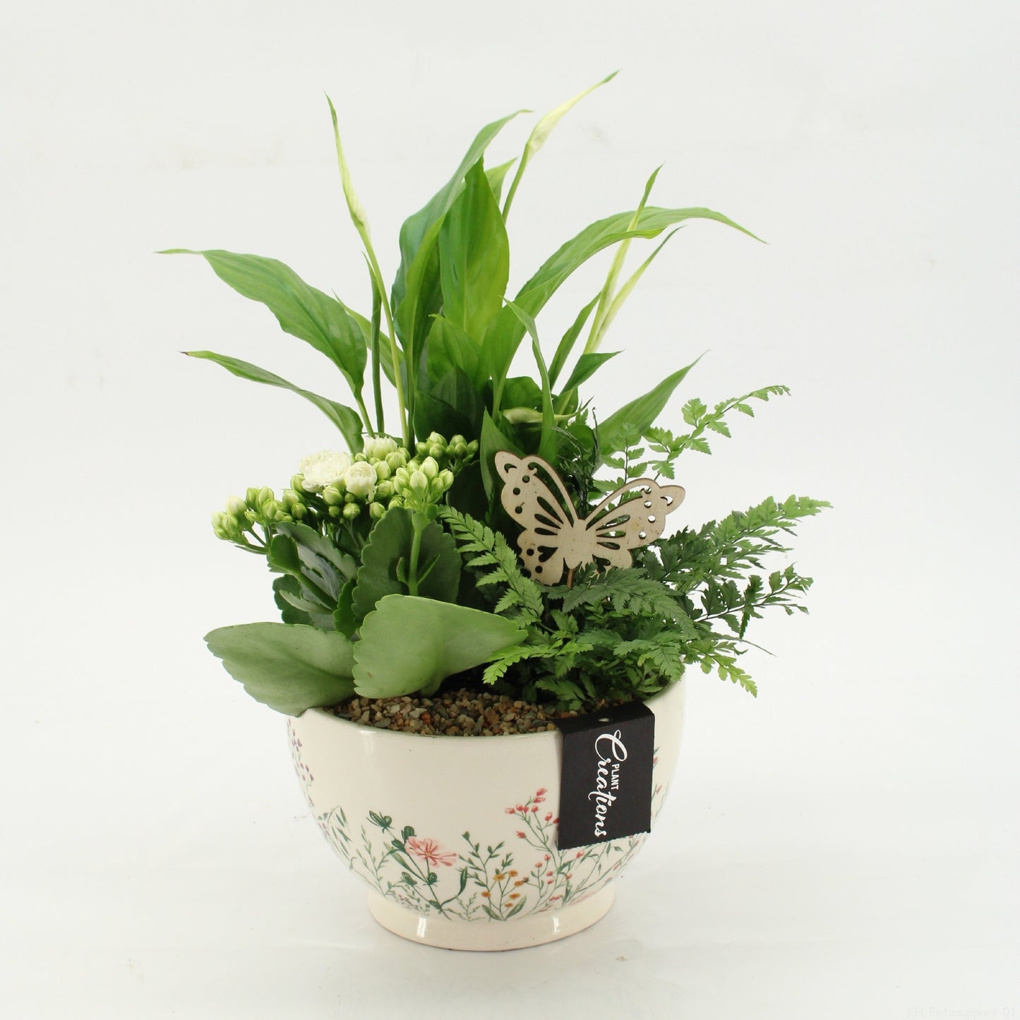 ESCR-2602W Essentials 35cm 17cm Pot