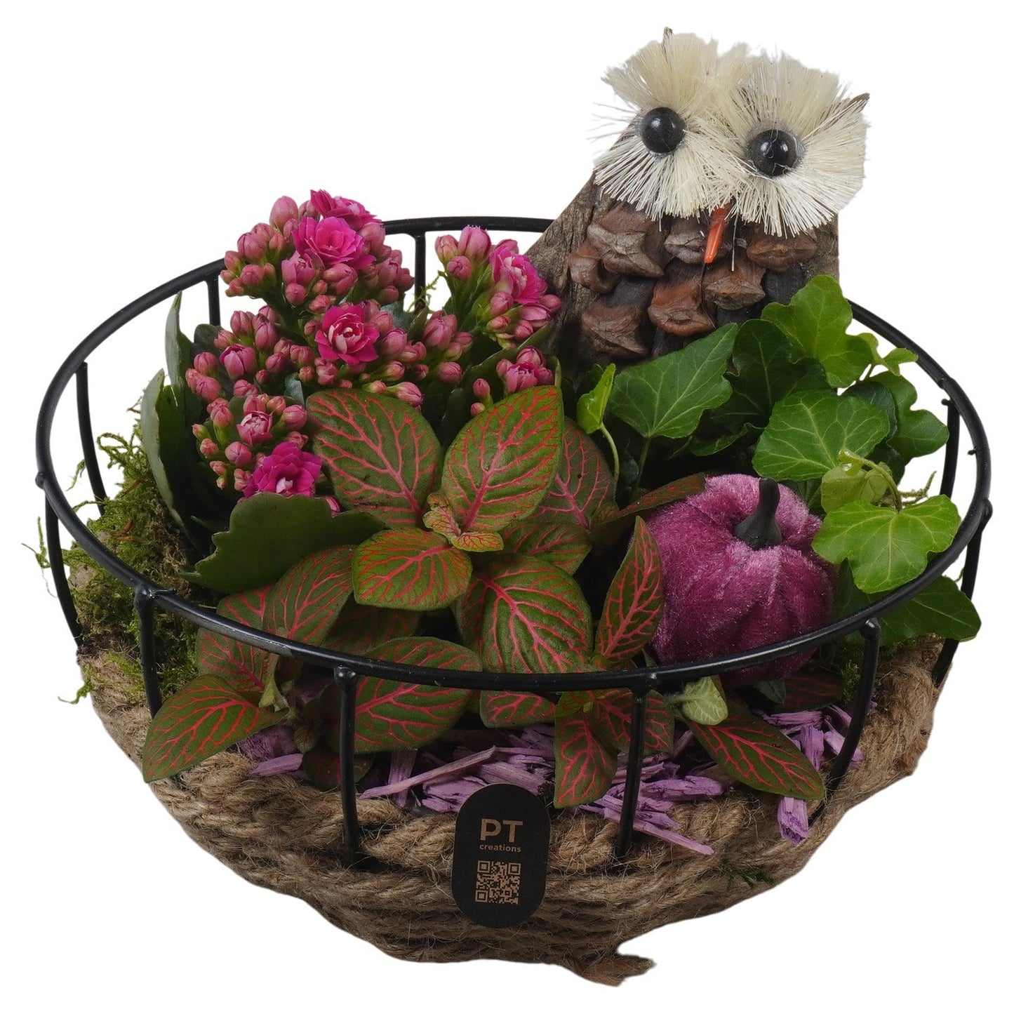Indoor arrangement 19cm 20cm Pot
