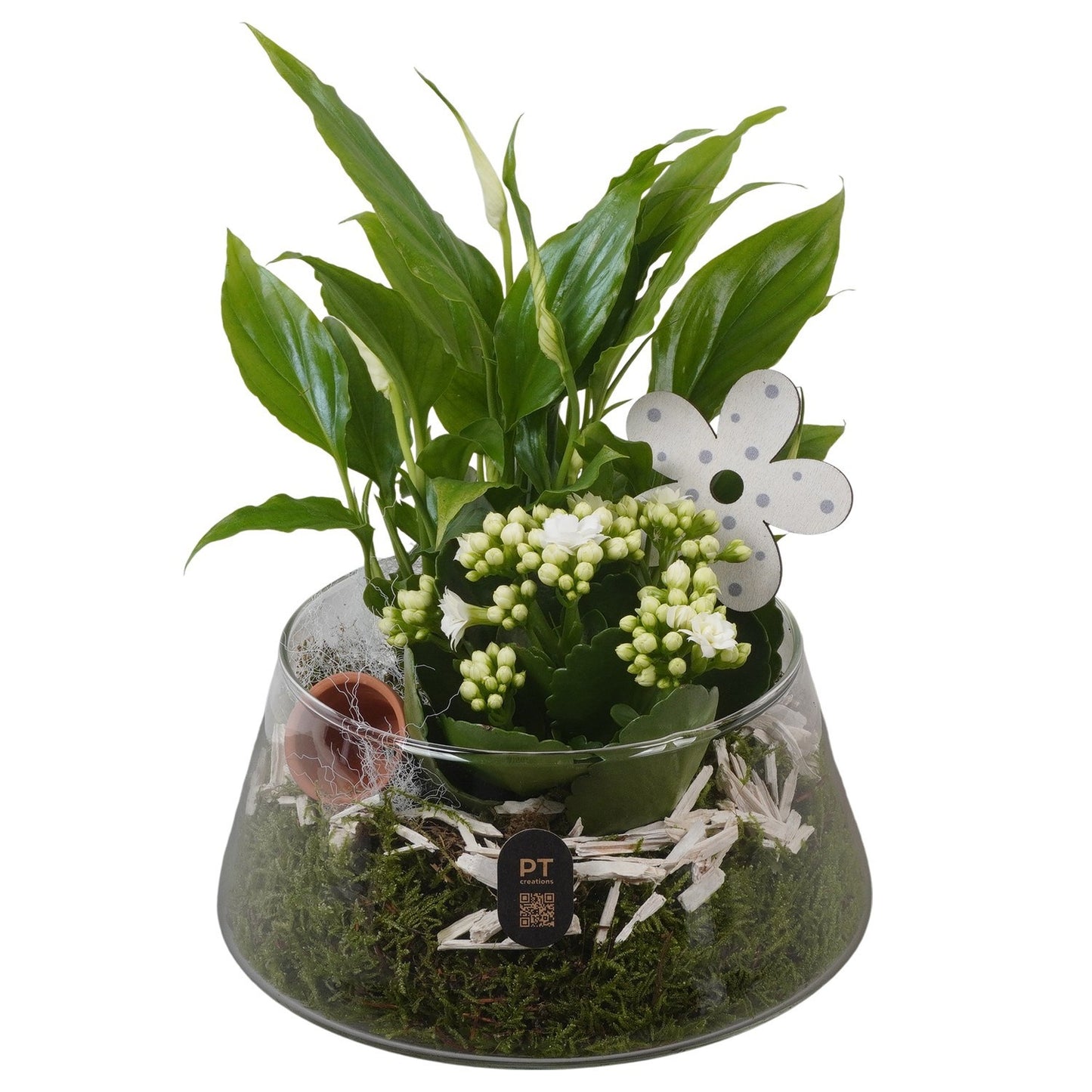 Indoor arrangement 27cm 18cm Pot