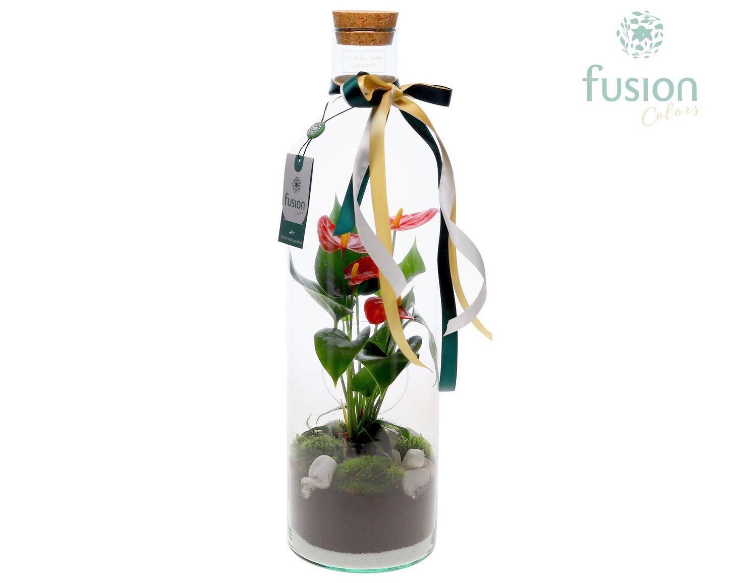 Green Bottle Fles Large Kerst met Anthurium 55cm 15cm Pot