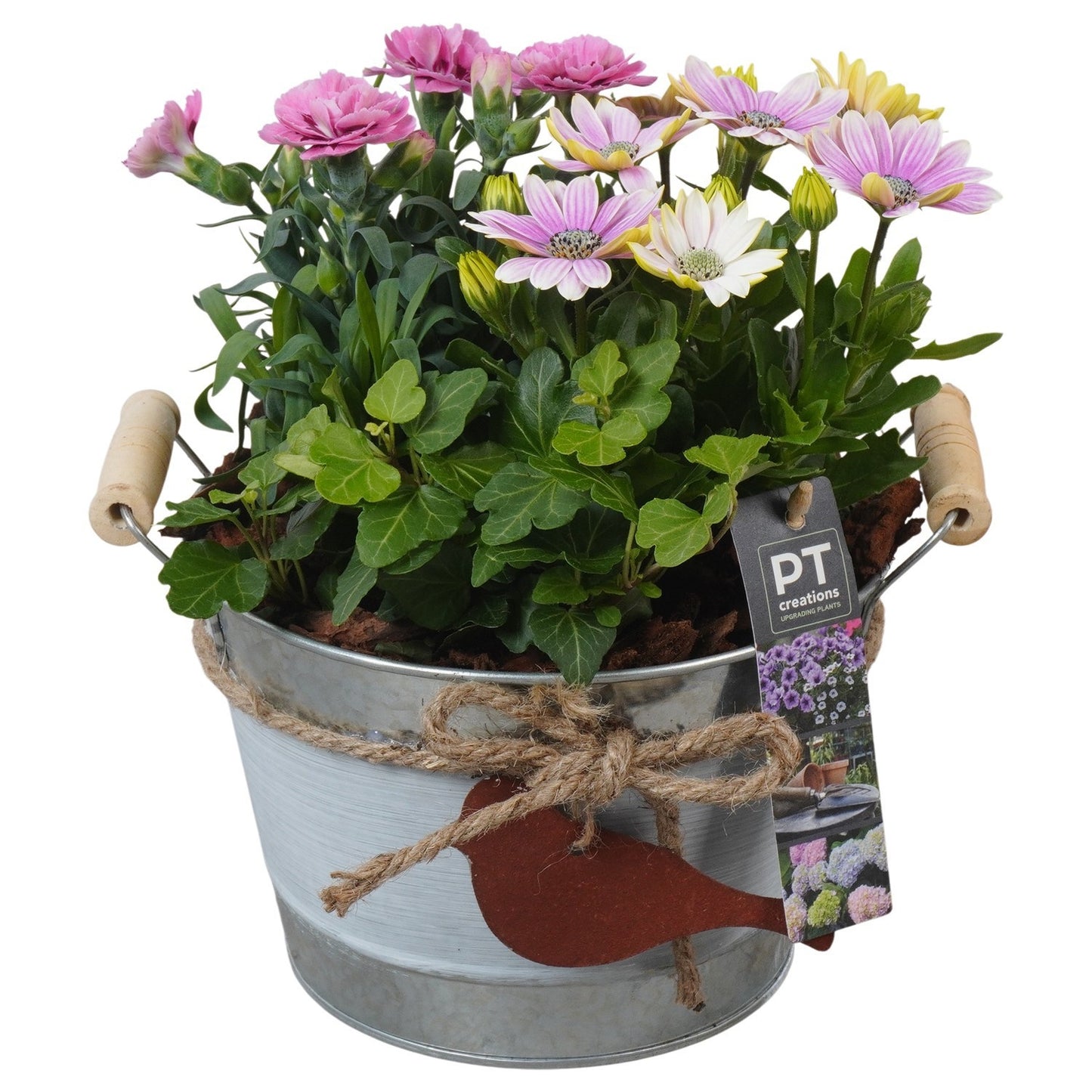 Outdoor arrangement 24cm 18cm Pot