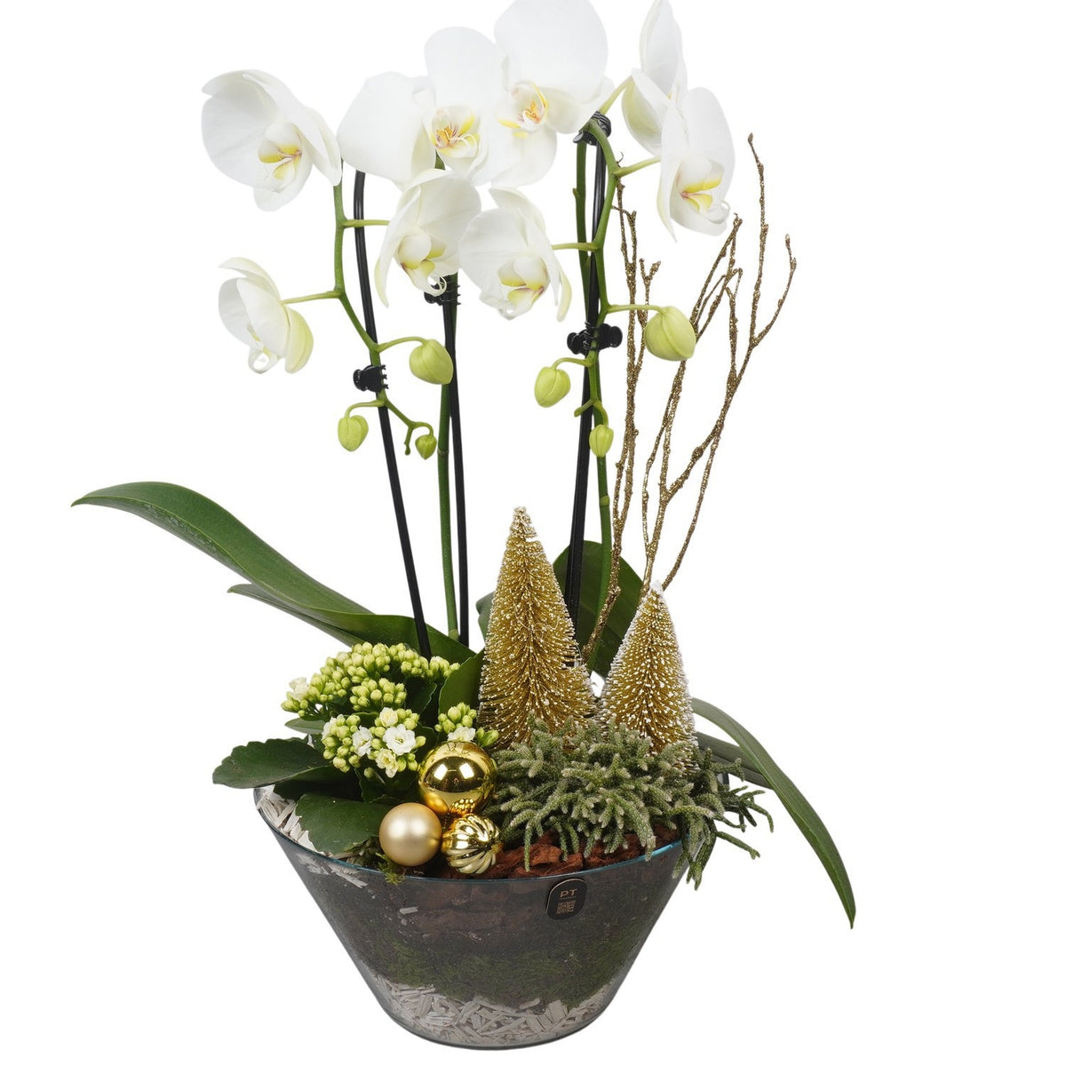 Christmas arrangement 57cm 25cm Pot