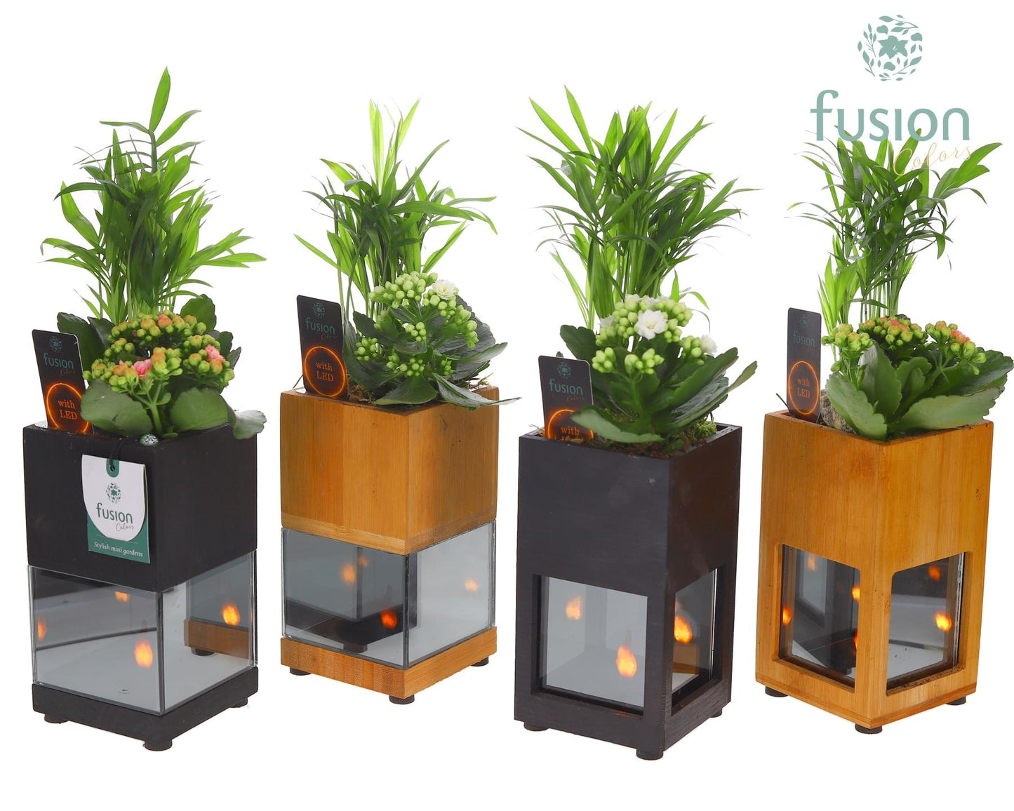 Houten LED planter met vlam met arrangement 35cm 10cm Pot