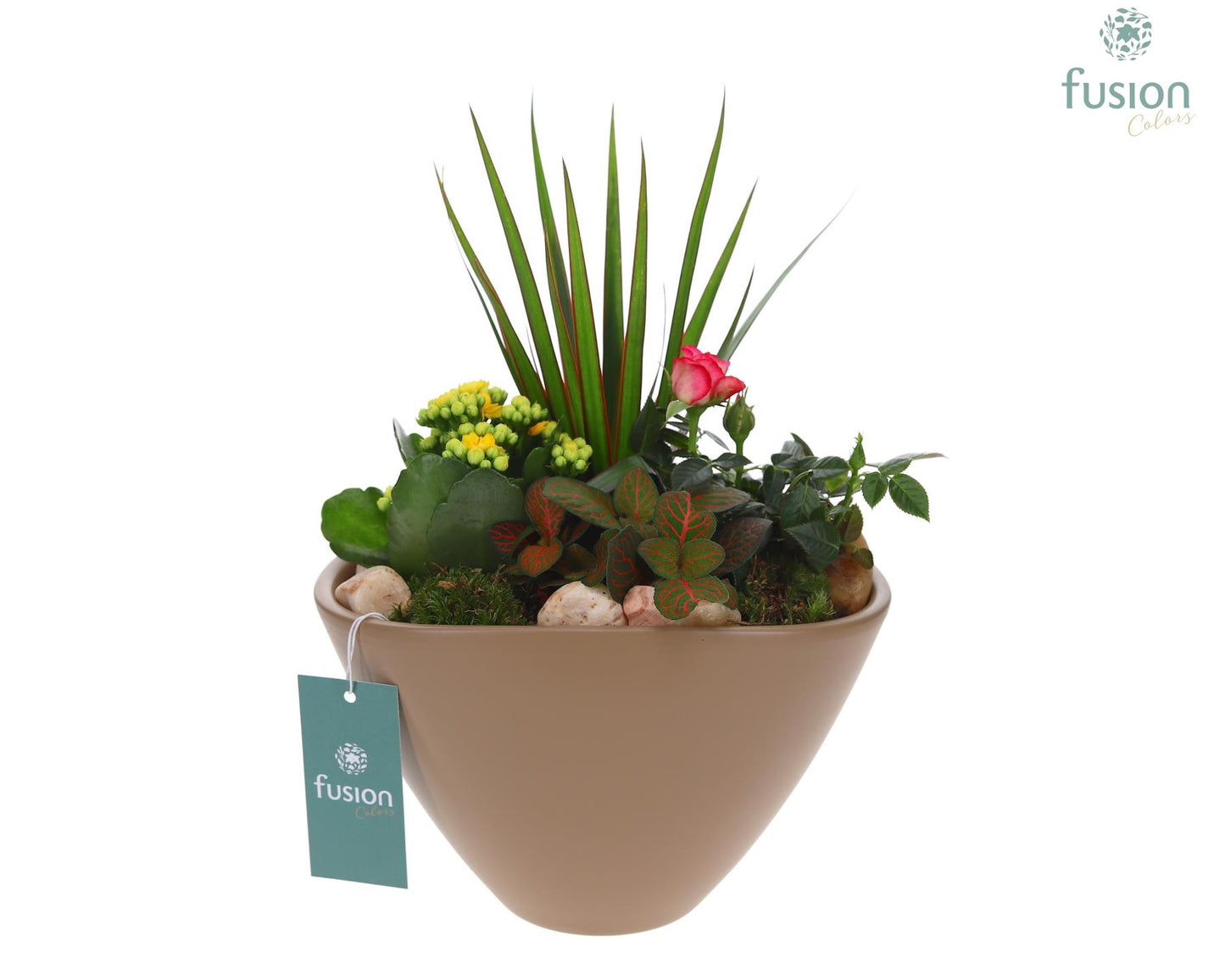 Pot keramiek Ovaal Large beige met Arrangement 29cm 21cm Pot