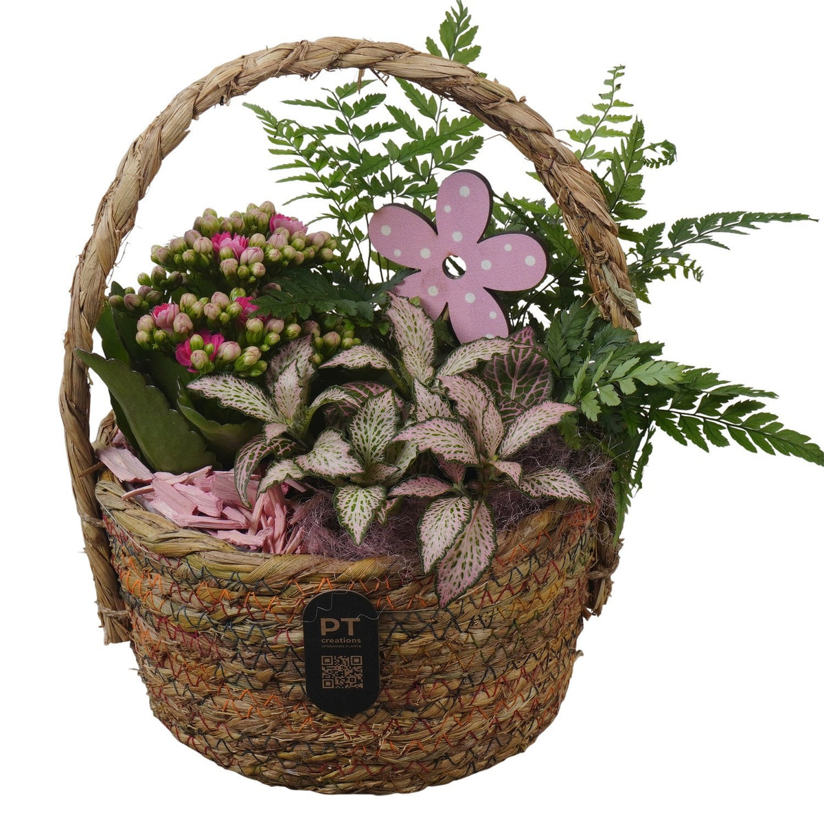 Indoor arrangement 26cm 19cm Pot