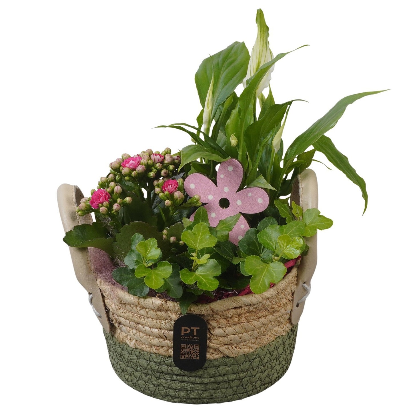 Indoor arrangement 29cm 17cm Pot