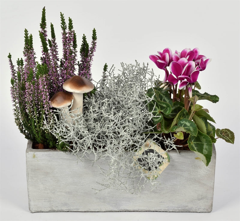 Outdoor arrangement 28cm Pot