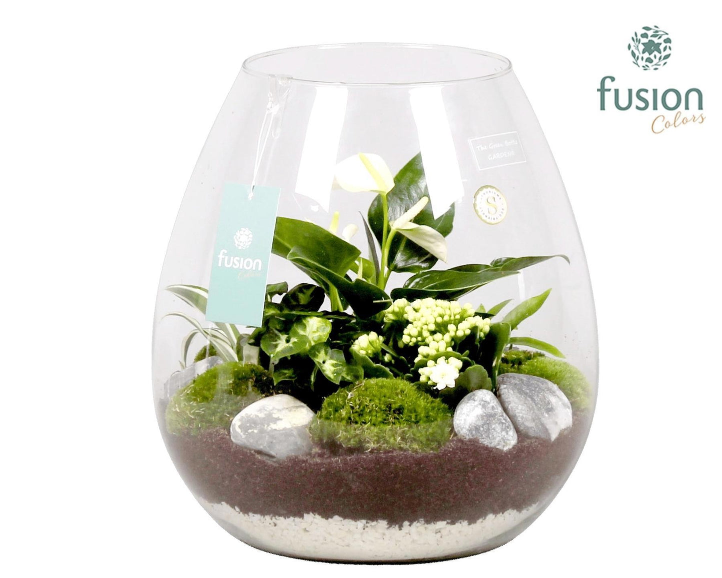 Green Bottle Abby XLarge met Groen Planten Arrrangement 29cm 29cm Pot