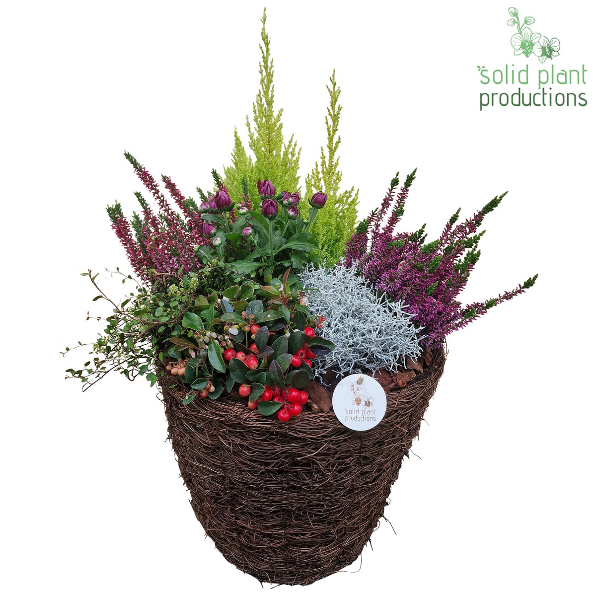Outdoor arrangement 66cm 38cm Pot