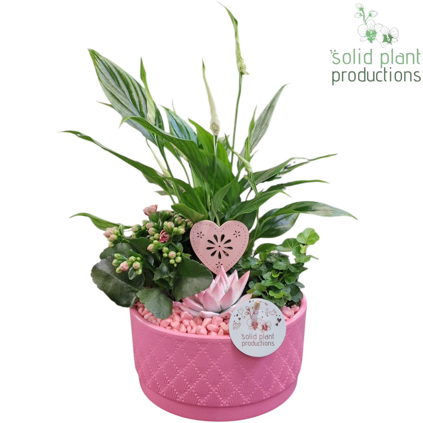 SE003 Loes Pink VM 35cm 18cm Pot