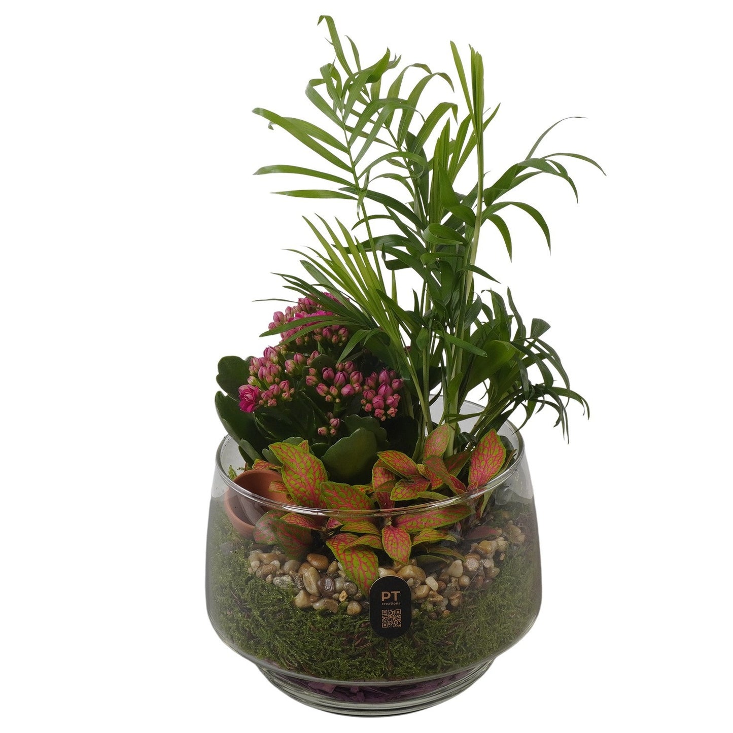 Indoor arrangement 32cm 17cm Pot