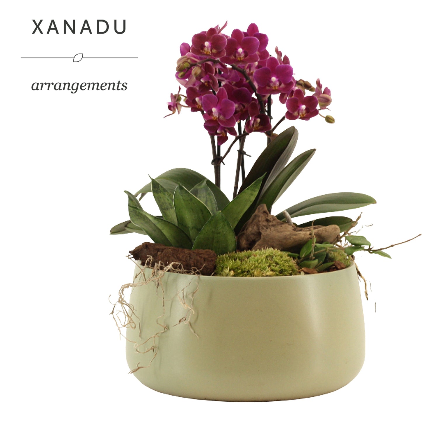 Xanadu Helsinki 40cm 24cm Pot