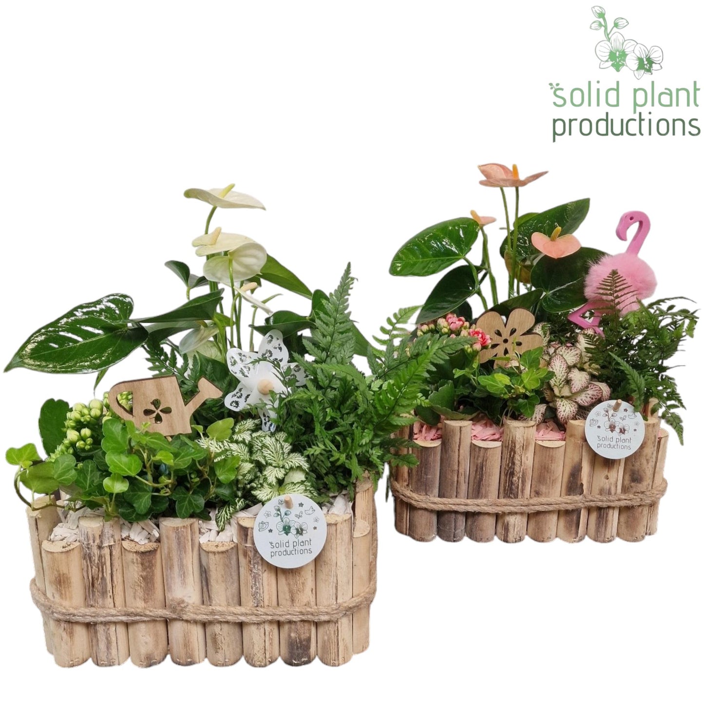 Solid Plant Productions HAT008 Verona Large White Pink Mix Pack of 2