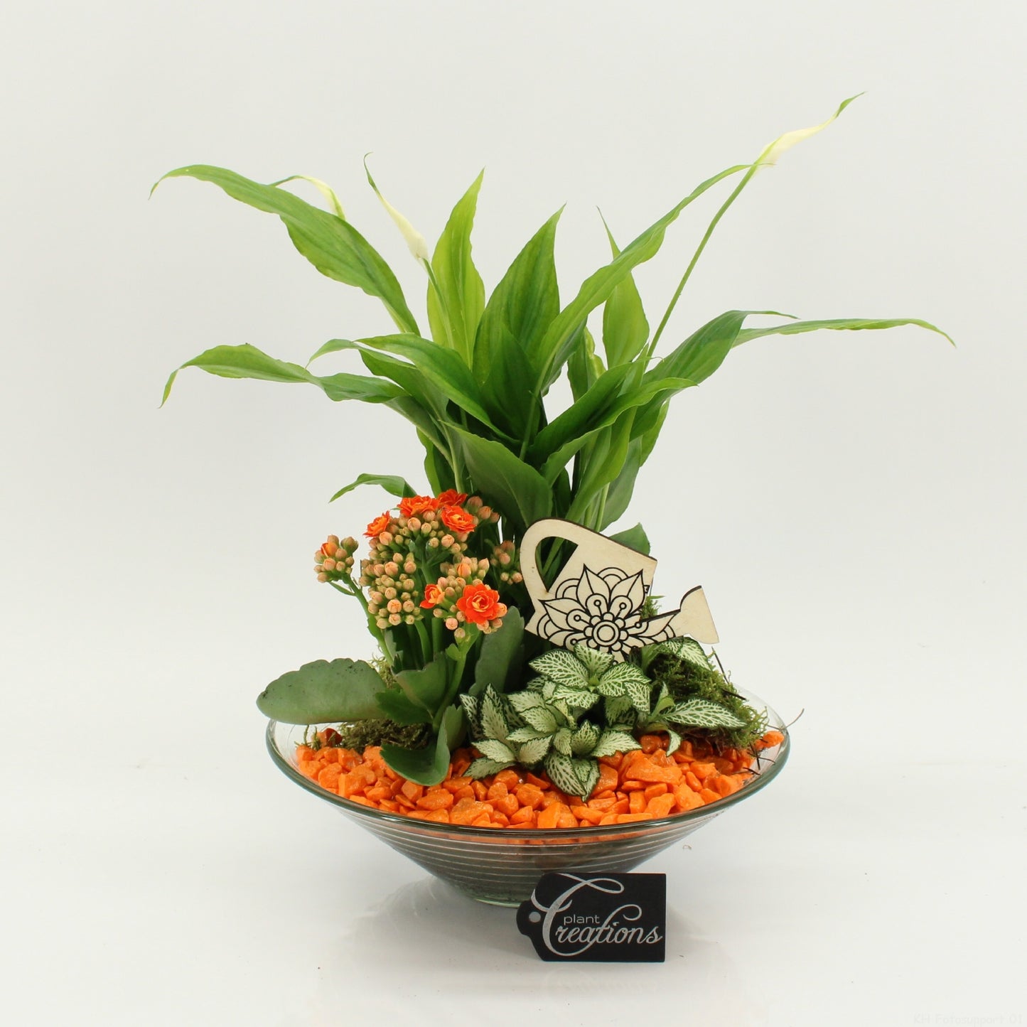 FDCR-2602OR Basic Fundamentals 35cm 25cm Pot