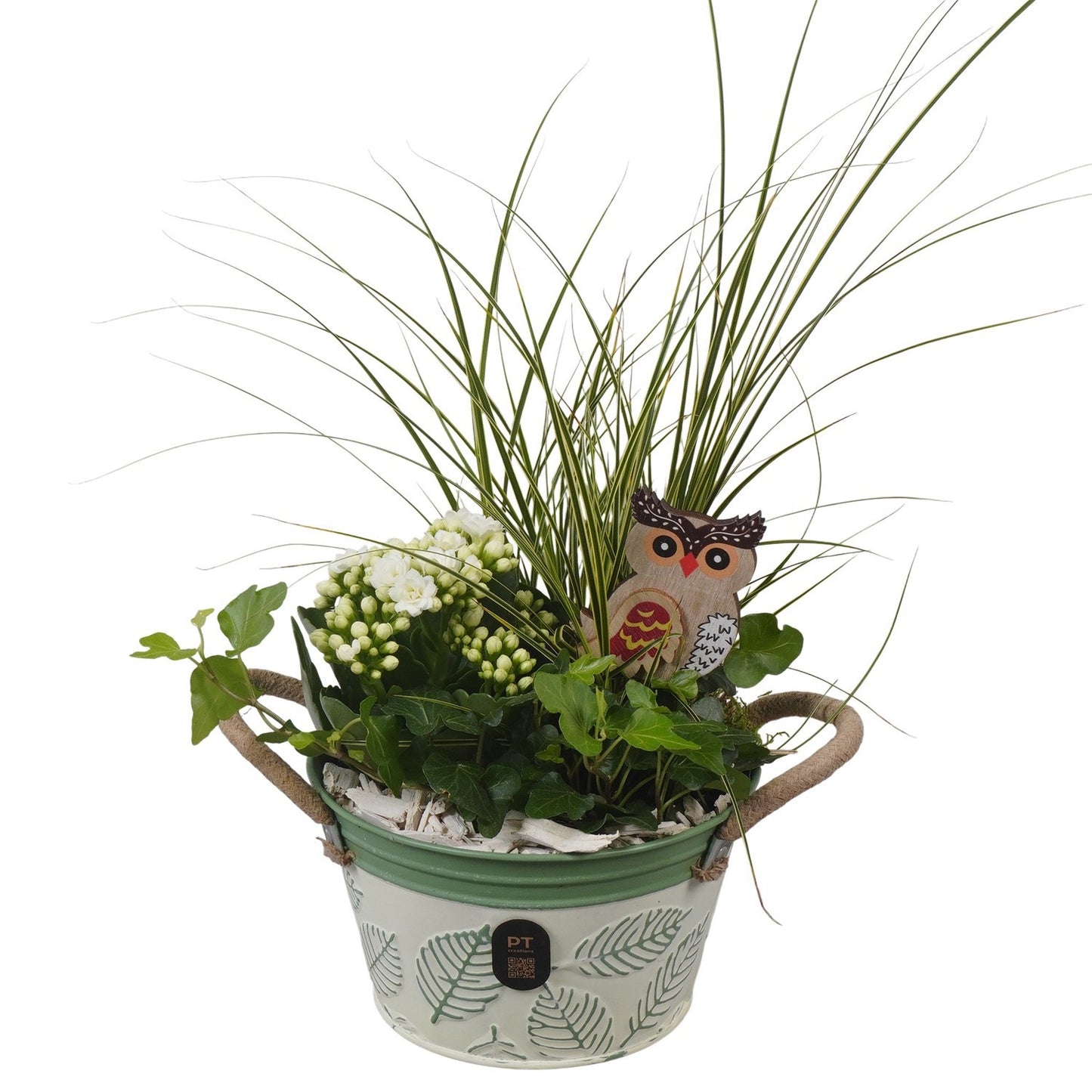 Indoor arrangement 40cm 15cm Pot