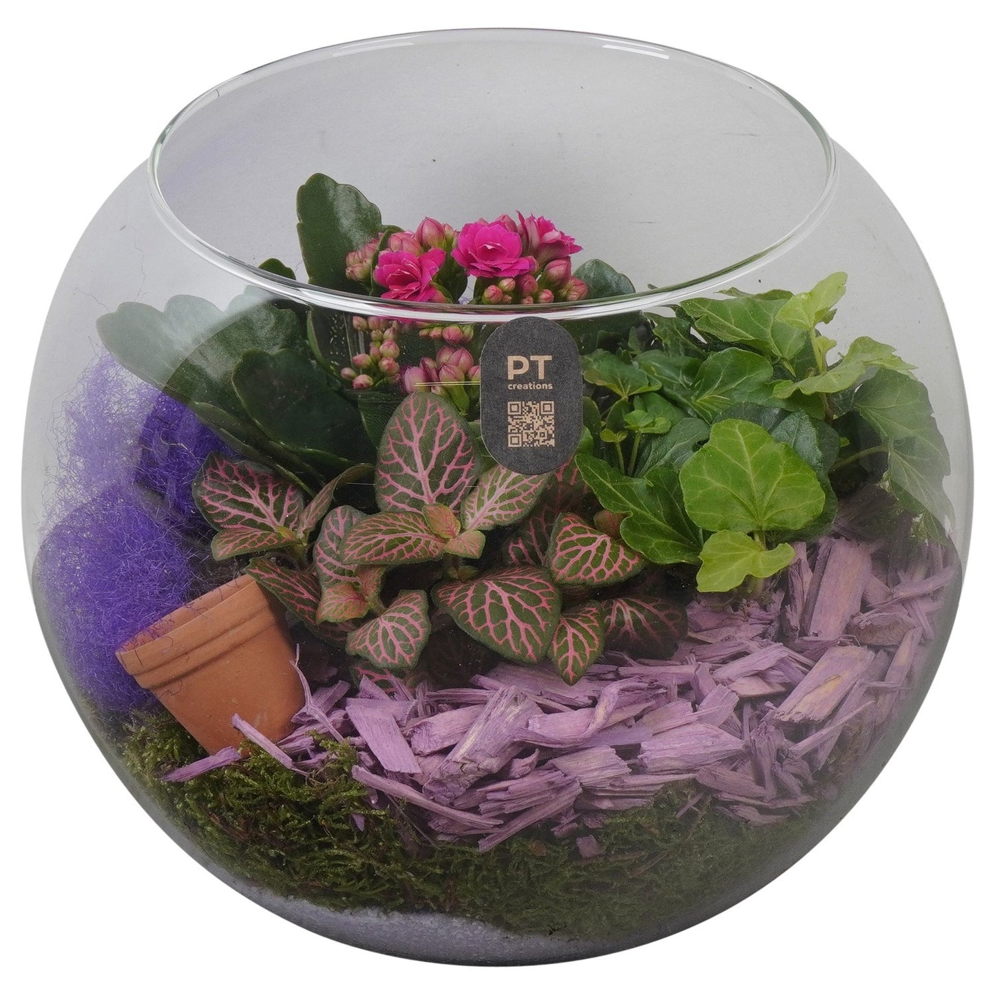 Indoor arrangement 17cm 20cm Pot