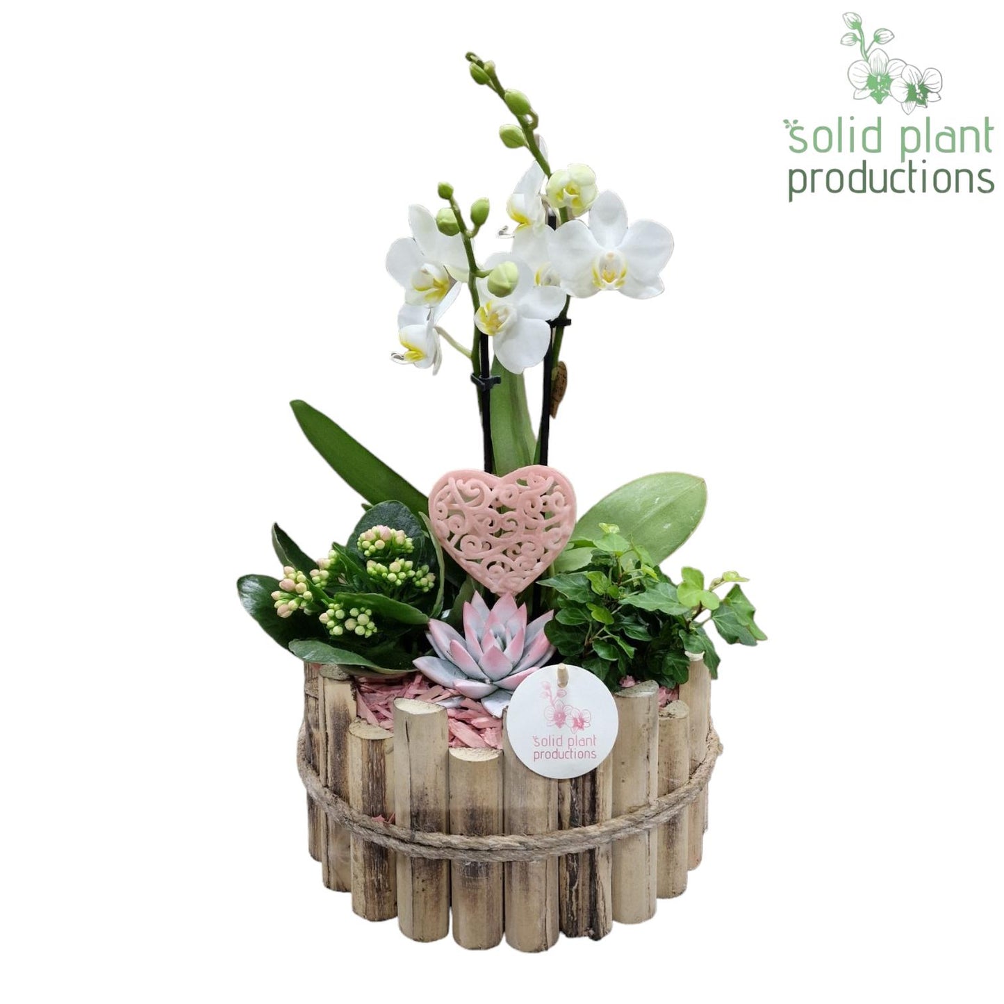 HVPE002 Milano Large Pink 45cm 23cm Pot
