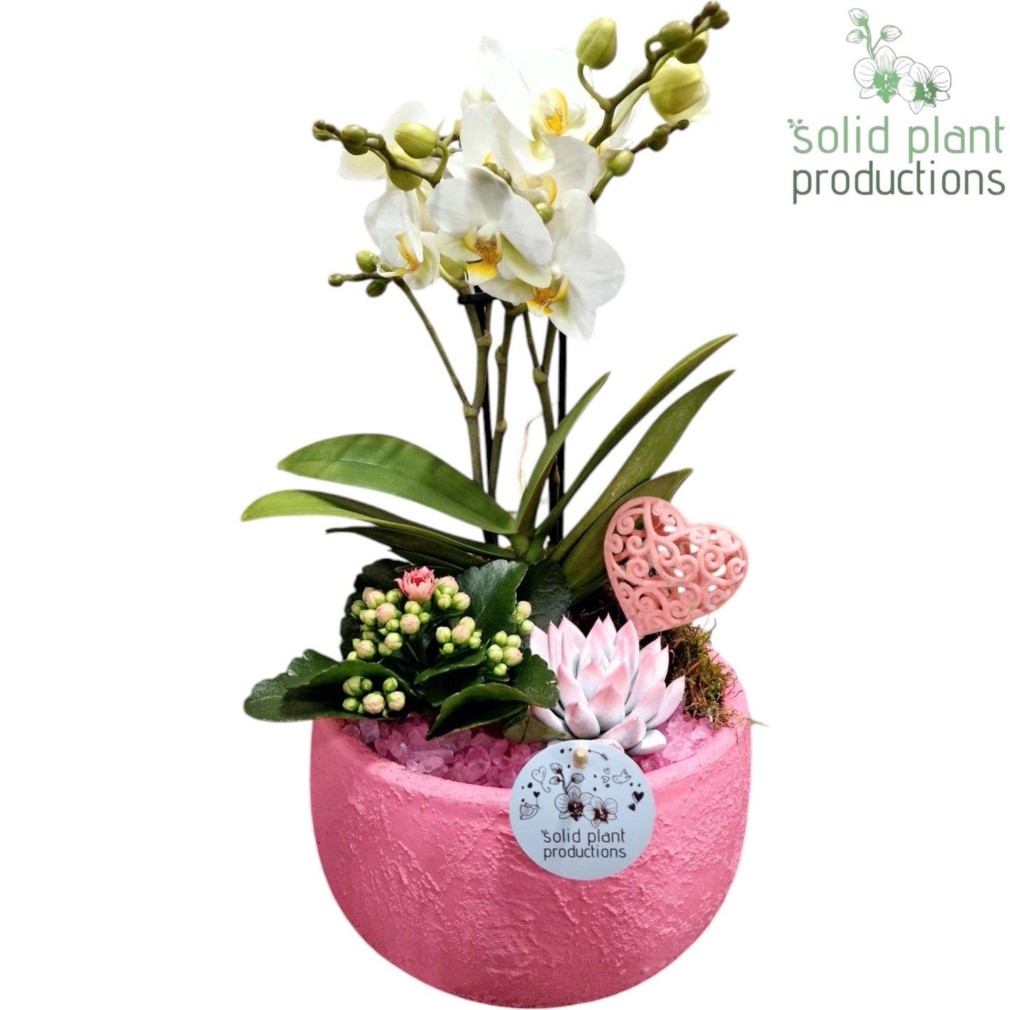 PE033 Esra Pink Small Love 45cm 21cm Pot