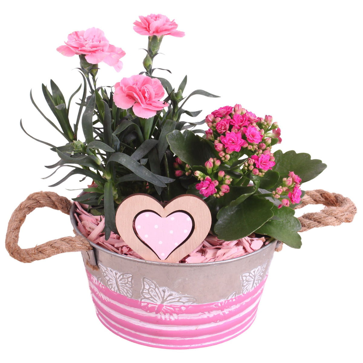 Outdoor arrangement 25cm 18cm Pot