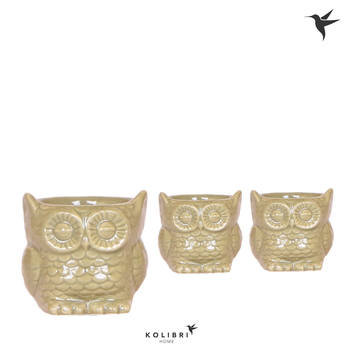 OK Plant Kolibri Home Owl pot green Pack of 12