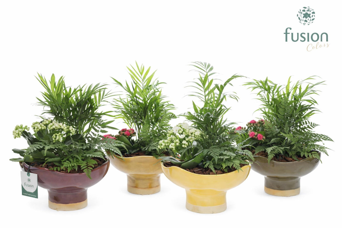 Keramiek schaal Tessa op voet Large met Arrangement 35cm 19cm Pot