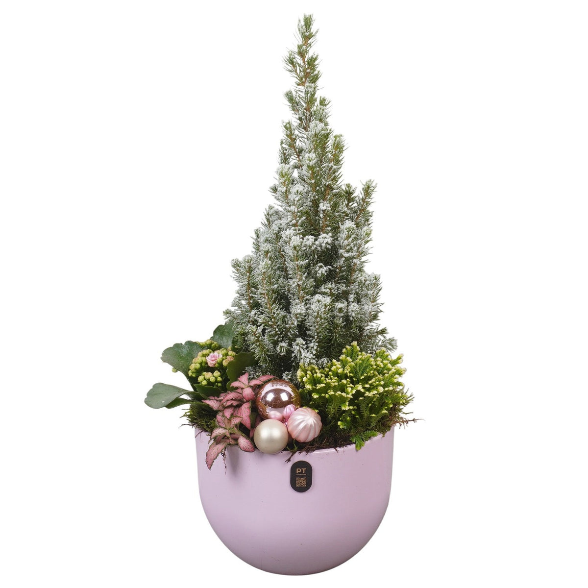 Christmas arrangement 52cm 19cm Pot