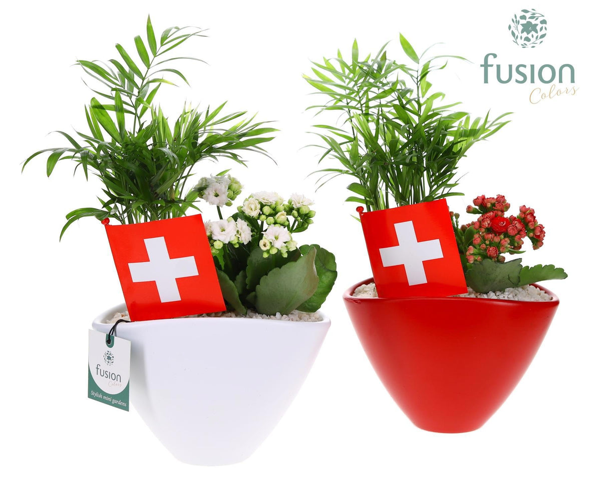 Keramiek pot ovaal Small Zwitserland met arrangement 35cm 19cm Pot