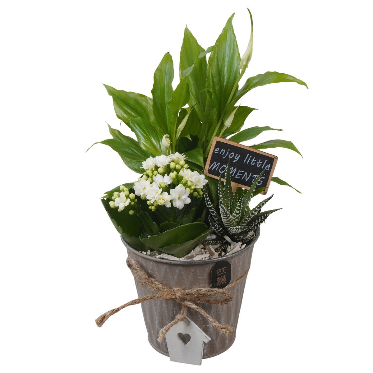 Indoor arrangement 31cm 12cm Pot