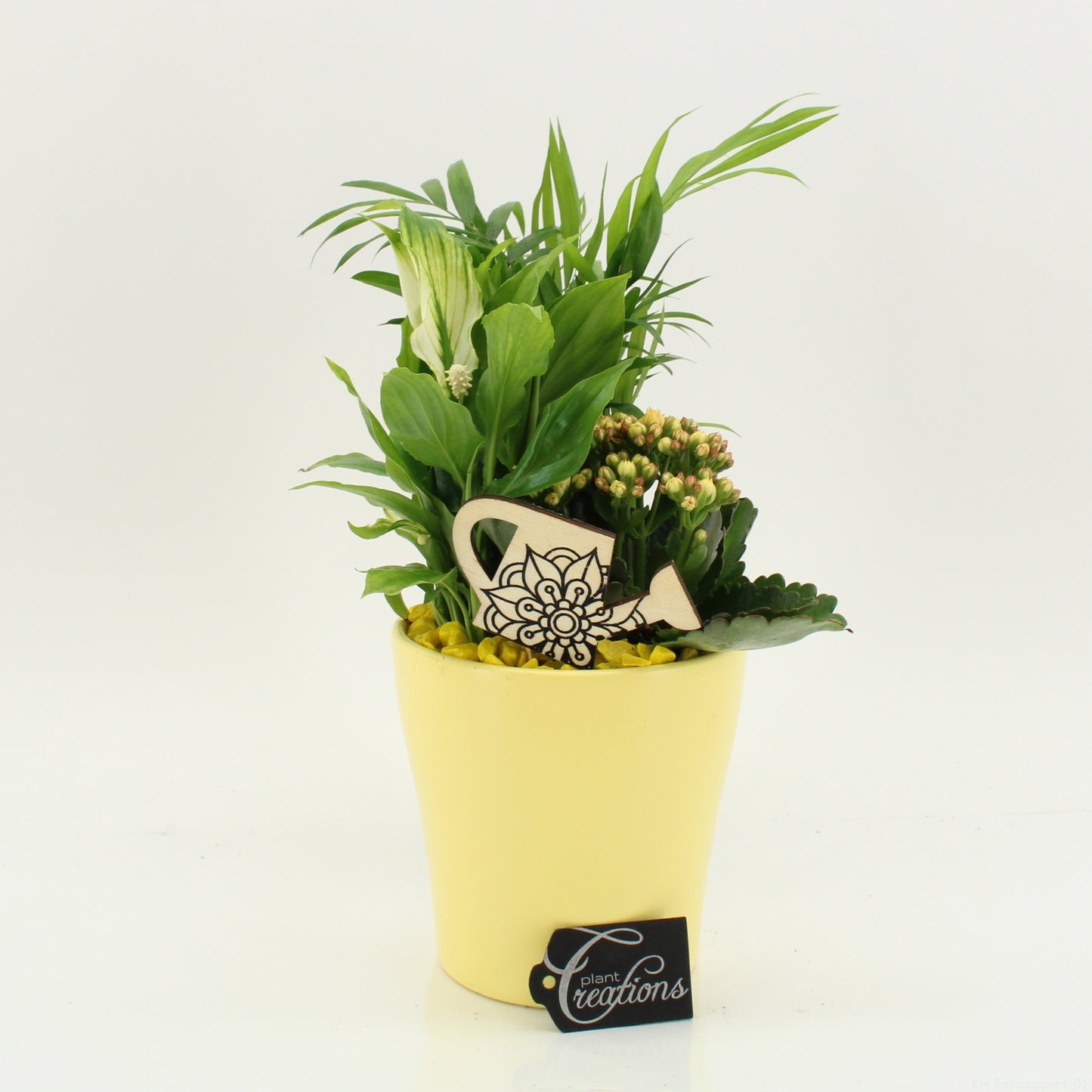 FDCR-2608G Basic Fundamentals 35cm 14cm Pot