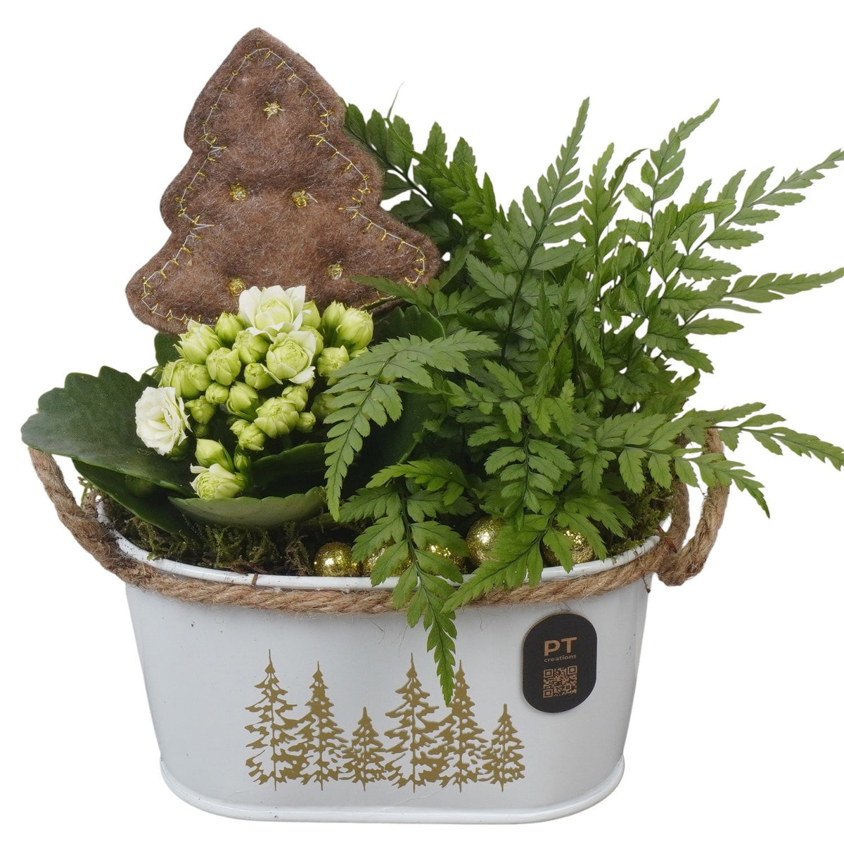 Christmas arrangement 20cm 15cm Pot