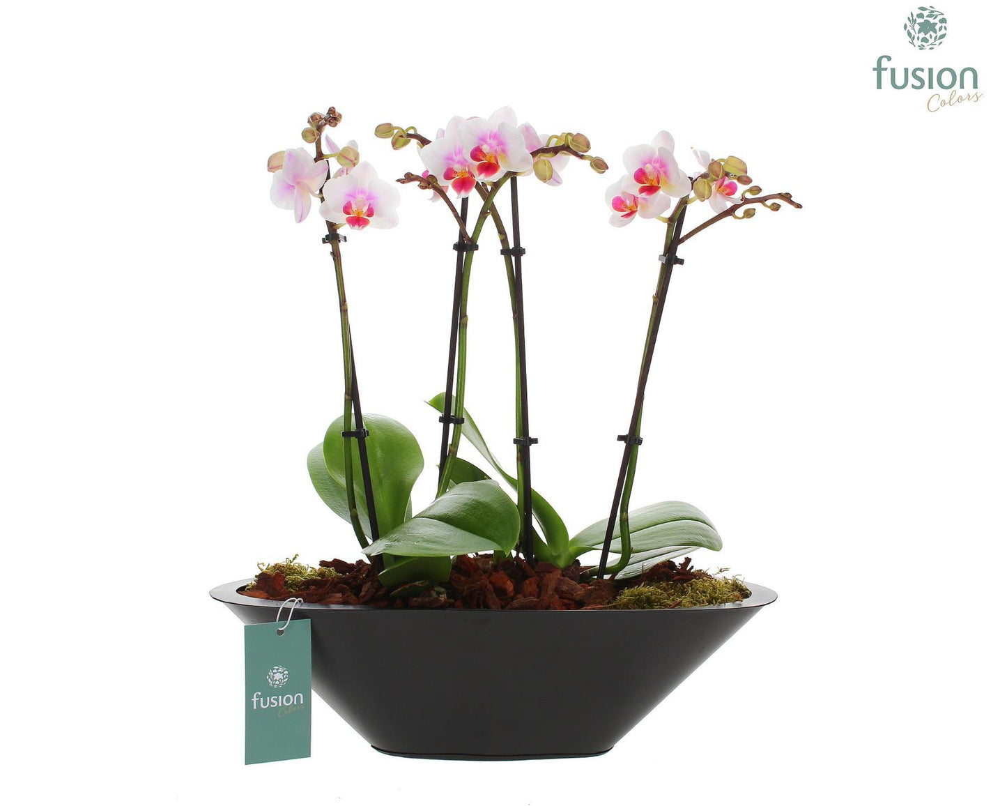 Rond pot op pootjes FC22.0707 43cm 36cm Pot