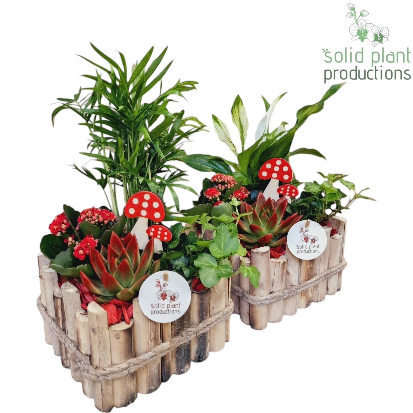 HSCE004 Verona Small Autumn Red 35cm 18cm Pot