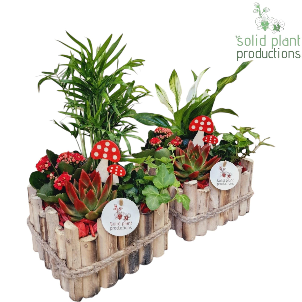 HSCE004 Verona Small Autumn Red 35cm 18cm Pot