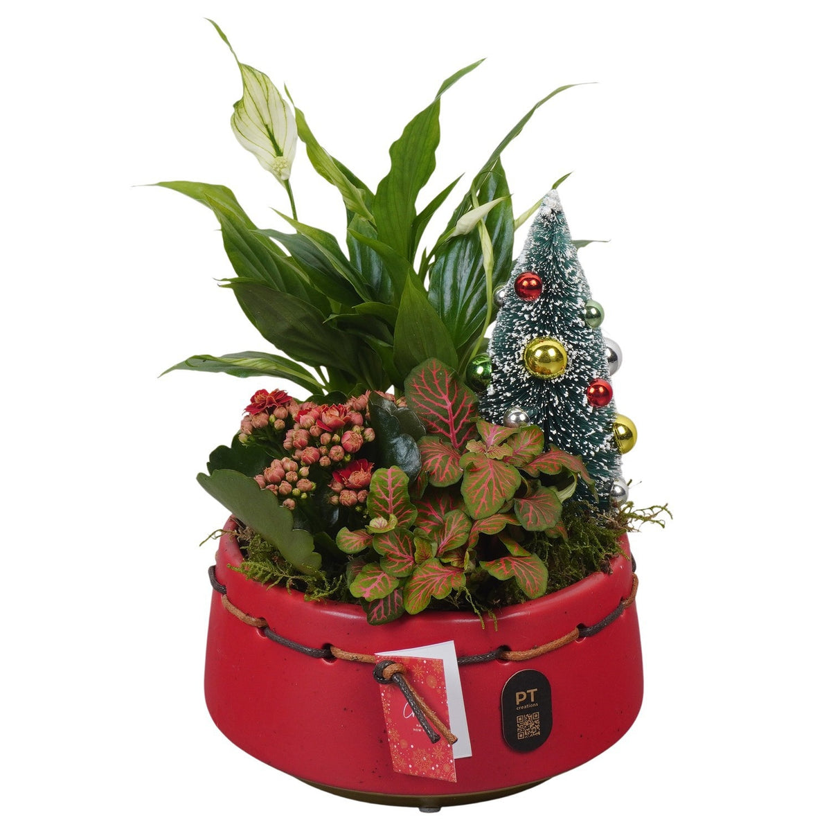 Christmas arrangement 25cm 17cm Pot