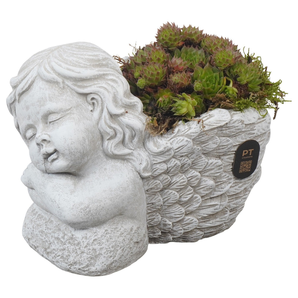 arr. all saints day 13cm 19cm Pot