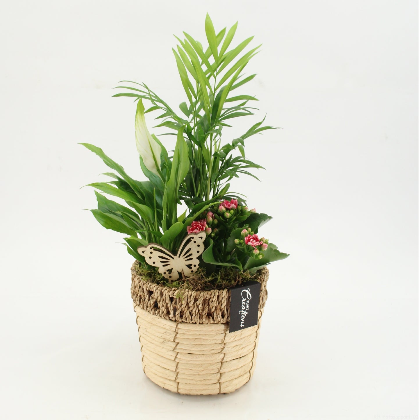 ESCR-2611RZ Essentials 45cm 16cm Pot