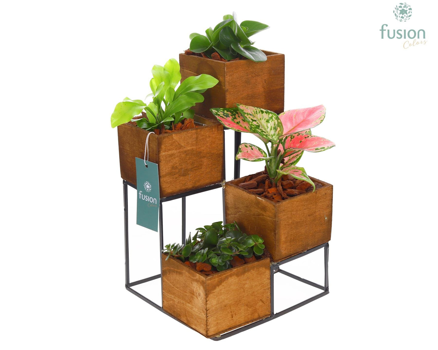 Fusioncolors BV Tower hout met metaal met Trendy Groene Planten Pack of 2